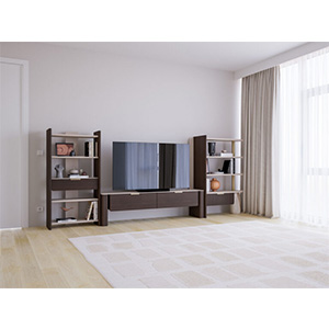 Mbajtese televizori per shtepi Terra Mbajtese televizori per shtepi Terra